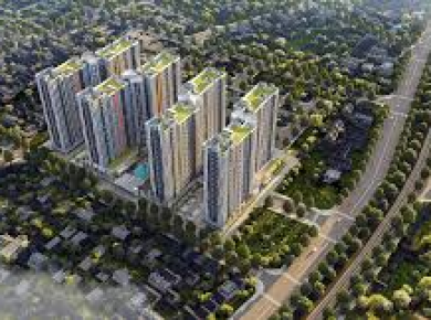 Nhận hợp đồng thi công khu dân cư mới ở Đồng Nai