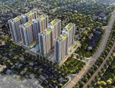 Nhận hợp đồng thi công khu dân cư mới ở Đồng Nai
